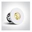 WHITE COB 6,5W WW 700mA IP65 thumbnail 1