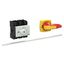 P3 Main switch, 80 A,Rear mounting, 3 pole, Form M4/K2-R, Red, Short t thumbnail 4