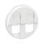 DOUBLE RJ45 SOCKET ROCKER WHITE thumbnail 2