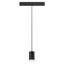 NUMINOS® XS 48V TRACK DALI, pendant light, black / white, 8.7W, 670lm, 2700K, CRI90, 55° thumbnail 2