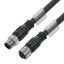 Bus line, Connecting line, M12 / M12, Number of poles: 5, 0.25 m, pin, straight - socket, straight, Shielded: Yes, LED: No, Sheath material: PUR, Halogen: No thumbnail 2