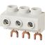 Feed-in terminal, 3-pole, 25 sqmm thumbnail 5