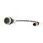 C22-D-S-K01-P5 Pushbutton, Flat, momentary, 1 NC, Cable (black) with M12A plug, 4 pole, 1 m, black, Blank, Bezel: titanium thumbnail 6