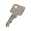 KEY-E10/30-GS Spare key PHZ common locking thumbnail 3