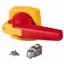 K4DR/P Toggle, 12mm, door installation, red/yellow, padlock thumbnail 1