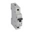MCB RX³ 6000 - 1P - 230/400V~ - 20 A - C curve - prong/fork type supply busbars thumbnail 2