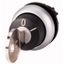 M22-WRS-MS5-A1 Key-operated actuator, maintained, 2 positions, MS5, Key withdrawable: 0, Bezel: titanium thumbnail 1