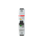 MD01 thumbnail 4