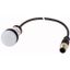 C22-L-W-24-P1 Indicator light, Flat, Cable (black) with M12A plug, 4 pole, 0.2 m, Lens white, LED white, 24 V AC/DC thumbnail 1