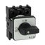 P1-25/E On-Off switch, P1, 25 A, flush mounting, 3 pole, with black thumb grip and front plate thumbnail 17