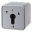 2-pole blind switch for key cylinder, surface-mounted, molded IP44 thumbnail 1