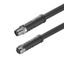 Power cable, Connecting line, M12 / M12, Number of poles : 4, 3 m, pin, straight - socket, straight, Shielded: No, Sheath material: PUR, Halogen: No thumbnail 2