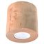 SPOT ORBIS NATURAL WOOD GU10 1X40W IP20 thumbnail 7
