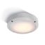 WHITE PLAFO 10W WW IP54 230V thumbnail 1