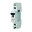 Miniature circuit breaker (MCB), 30 A, 1p, characteristic: C thumbnail 4