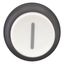 M22S-DH-W-X1 Pushbutton, RMQ-Titan, Extended, momentary, White, inscribed, Bezel: black thumbnail 4