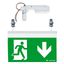 PURESIGN/COMSIGN 150 P MRCR-WF15 E1D SR - Escape sign luminaire thumbnail 1