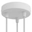 Cylindrical metal 3-hole ceiling rose kit thumbnail 1