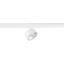 KALU 2.0 3Ph. DALI 4000K white thumbnail 2