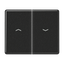 2-gang switch rocker thumbnail 2