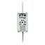 Fuse-link, LV, 50 A, AC 500 V, NH02, gL/gG, IEC, dual indicator, live gripping lugs thumbnail 20