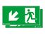 PURESIGN 150 MSC/MRC SP2-E002-DLR ERI - Escape sign thumbnail 1