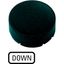 M22-XDH-S-GB4 Button plate, raised black, DOWN thumbnail 2