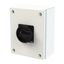P3 Main switch, 80 A,Surface mounting, 4 pole, Form SE, Black, Door co thumbnail 1
