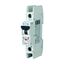 Miniature circuit breaker (MCB), 2 A, 1p, characteristic: D thumbnail 14