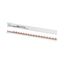 Z-SV-10/1P+N-F/18 Horizontal busbar, 10mm², 1P+N thumbnail 2