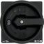 T5B-3-8342/EA/SVB-SW Main switch, T5B, 63 A, flush mounting, 3 contact unit(s), 6 pole, STOP function, With black rotary handle and locking ring, Lockable in the 0 (Off) p thumbnail 18