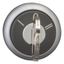 M22-WRS3-MS2 Key-operated actuator, maintained, 3 positions, MS2, Key withdrawable: I, 0, II, Bezel: titanium thumbnail 3