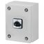 P1-32/SE1 On-Off switch, P1, 32 A, 3 pole, surface mounting, with black thumb grip and front plate, in steel enclosure thumbnail 7