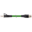RJ45 male 0° / RJ45 male 0° shielded PUR 4x2xAWG26 gn UL/CSA 0,4m thumbnail 1