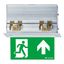 ARTSIGN 75 P MRC E8D SR SP1-E002-UP - Escape sign luminaire thumbnail 1