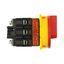 P3 Main switch, 80 A,Flush mounting, 3 pole, Form EA/SVB, Red, Door co thumbnail 6