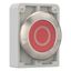 M30I-FDR-R-X0 Pushbutton, RMQ-Titan, flat, maintained, red, inscribed, Front ring stainless steel thumbnail 14