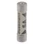 Fuse-link, Overcurrent NON SMD, 5 A, AC 240 V, BS1362 plug fuse, 6.3 x 25 mm, gL/gG, BS thumbnail 11