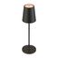 VINOLINA TWO, table lamp, battery-powered, IP65, 2200/2700/3000K, TOUCH, black thumbnail 2