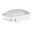 LED Bulkhead Basic 12W 3000K White Oval thumbnail 1