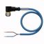 Actuator and Sensor Cable, PVC Connection Cable   WKC4.221T-8/TEB thumbnail 1