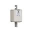 Fuse-link, high speed, 450 A, AC 1000 V, Size 2, 61 x 75 x 140 mm, aR, DIN, IEC, single indicator thumbnail 15