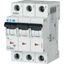 PL6-B13/3 Miniature circuit breaker (MCB), 13 A, 3p, characteristic: B thumbnail 2