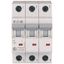 Miniature circuit breaker (MCB), 13 A, 3p, characteristic: C thumbnail 2