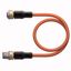 Actuator and Sensor Cable, PUR Extension Cable   RKC4.5T-2-RSC4.5T/TXO3700 thumbnail 1