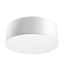 CEILING LAMP ARENA 25 WHITE E27 1X60W IP20 thumbnail 1