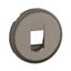 LOUDSPEAKER ROCKER TITANIUM thumbnail 2