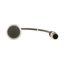 C22-D-S-K01-P5 Pushbutton, Flat, momentary, 1 NC, Cable (black) with M12A plug, 4 pole, 1 m, black, Blank, Bezel: titanium thumbnail 12