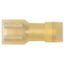 Receptacle terminal in full insulation PA MSEPA_6,3-6/100 thumbnail 2