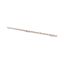 Z-GV-16/1P+N-2TE/16 Phase busbar, 2-phases, 16qmm, fork connector thumbnail 5